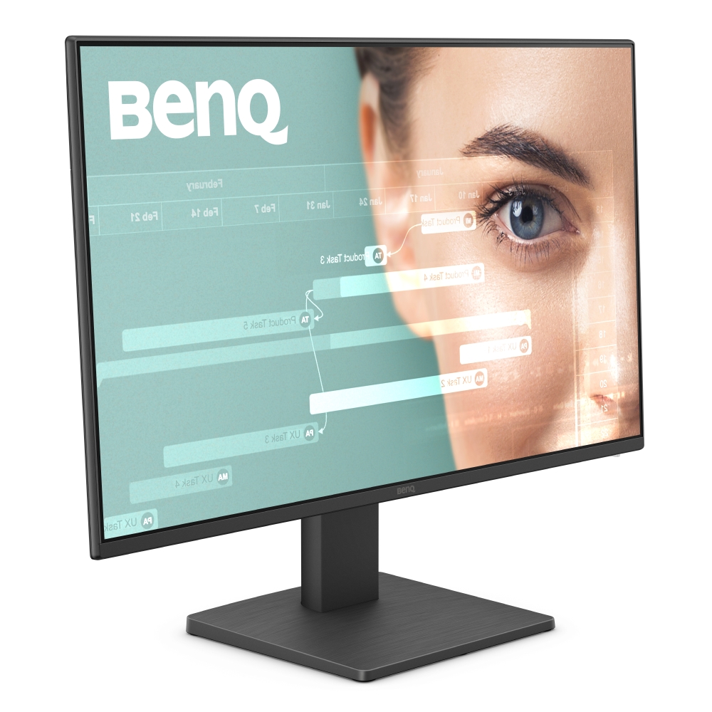 Benq GW2491 Computer Monitors - 23.8 Inches - Black